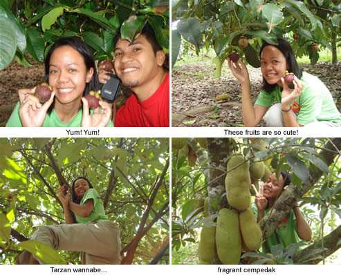 diyana and azman at nenek orchard