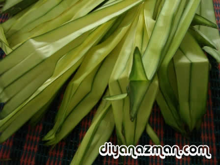 Ketupat Palas