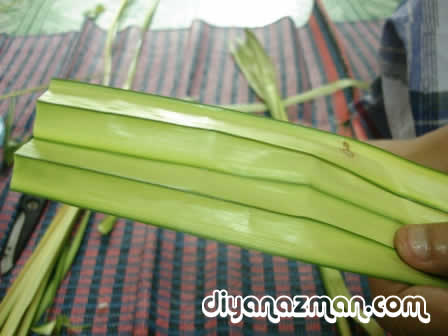 Ketupat Palas