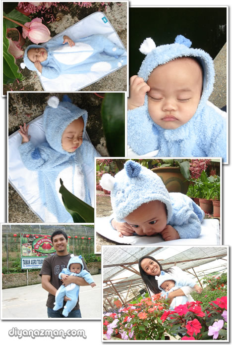 baby blue bear after been tamed by diyana