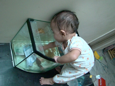 Baby swimming in aquarium