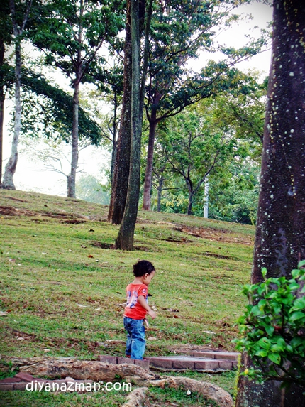 baby climbs hill