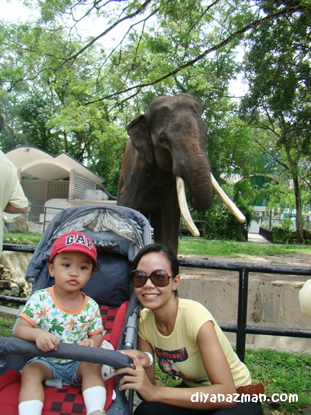 miki and elephant