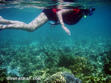 snorkelling