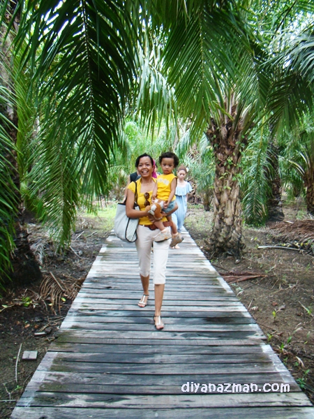 walking through palm trees