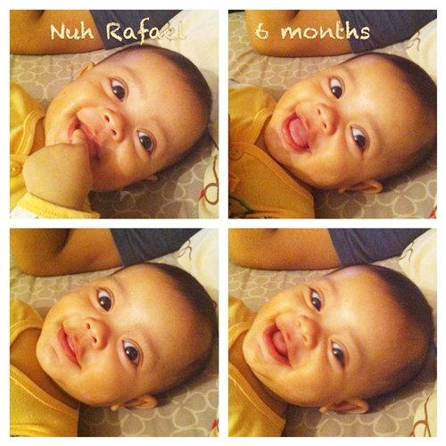 Rafa 6 months