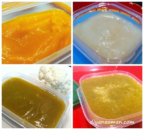 babyfood fruits and vegetables puree