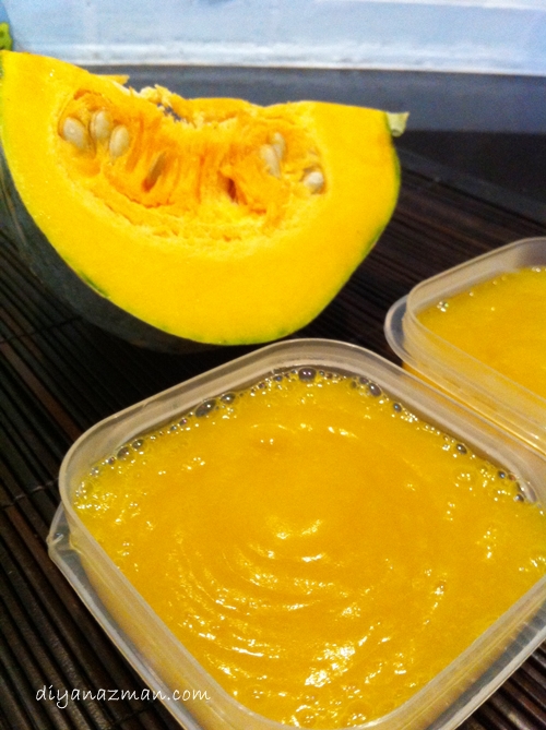 pumpkin puree baby food