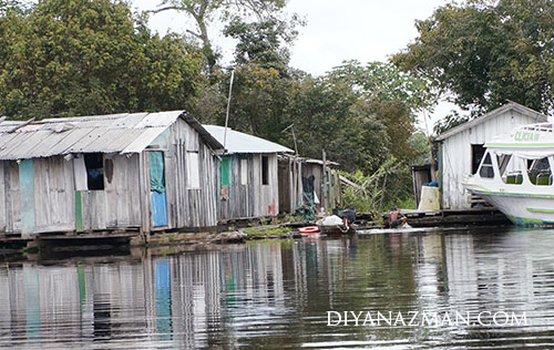 native manaus brazil swimming with piranha