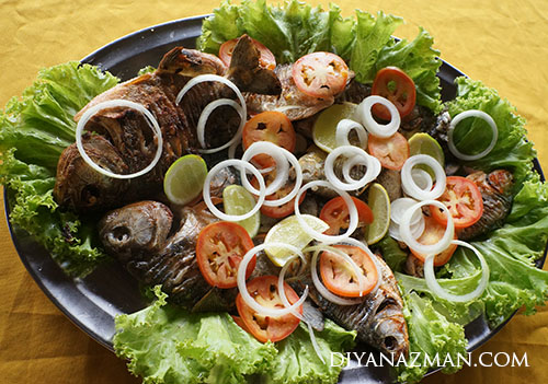 piranha special meal