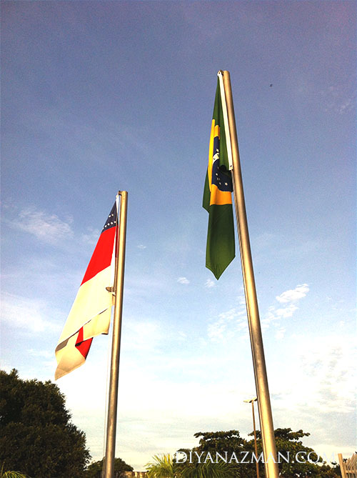 Brazil and Amazonia flag