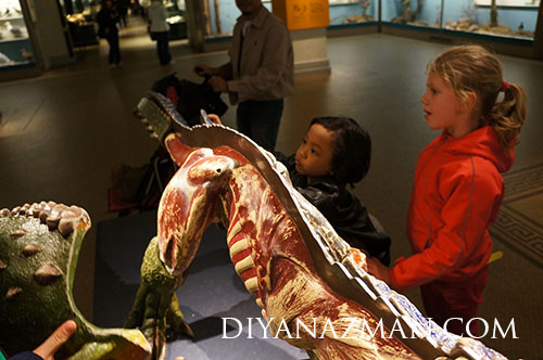 Natural History Museum Berlin