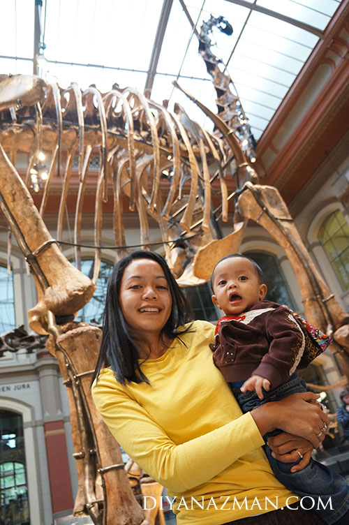 Natural History Museum Berlin