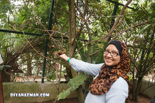 zira at petting zoo