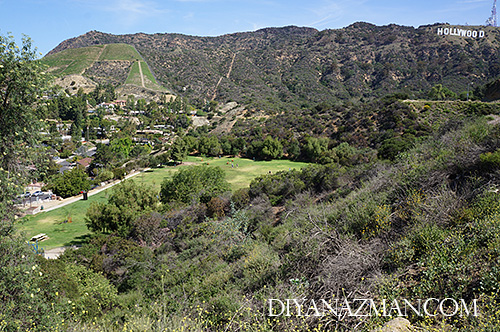 canyon lake drive park for picnic in spring summer