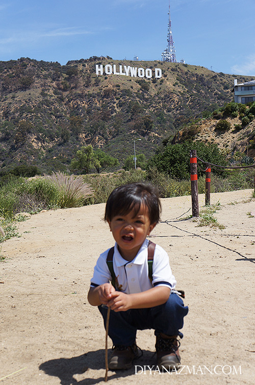 best place to view hollywood sign in LA