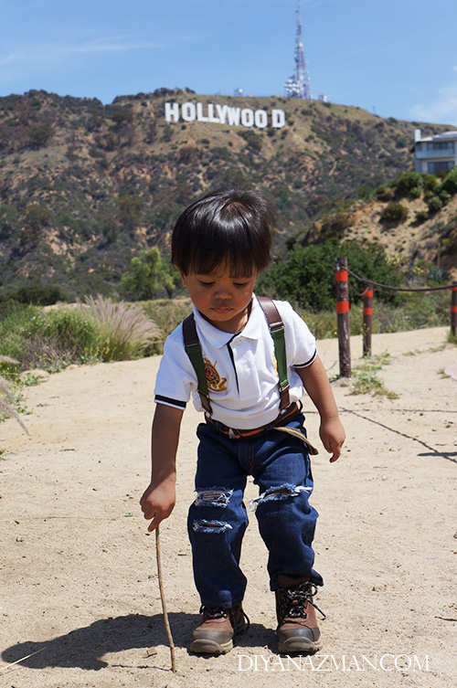 hollywood sign in spring