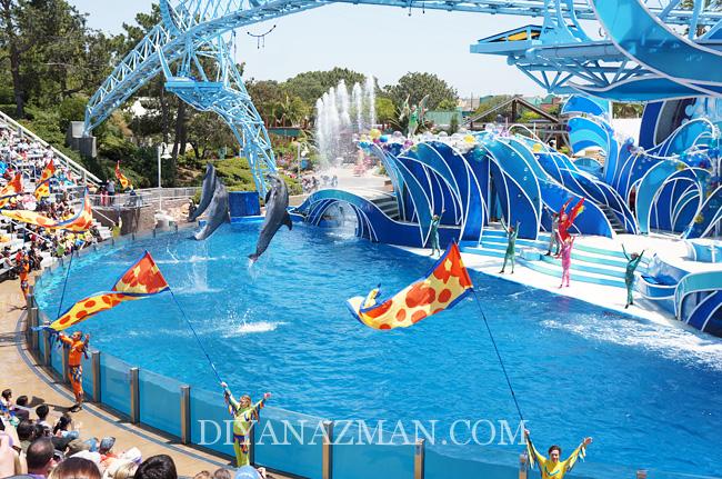 seaworld san diego Blue Horizons dolphin show