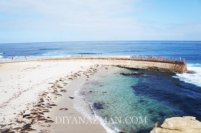 la jolla beach -children pool