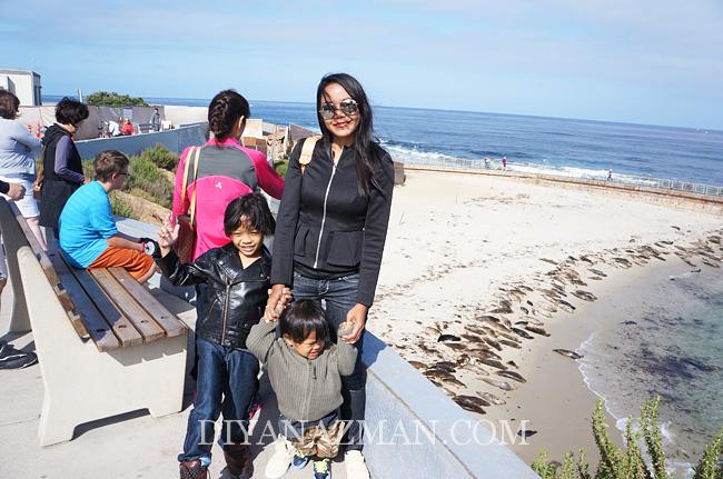 la jolla beach -children pool