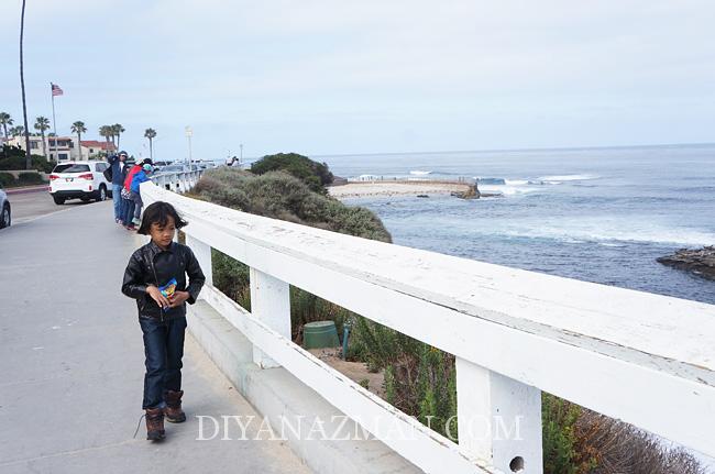 la jolla beach san diego, california