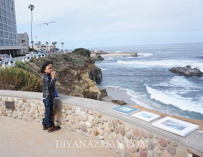 la jolla beach san diego, california