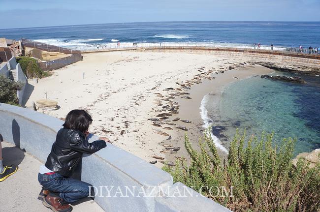 la jolla beach -children pool