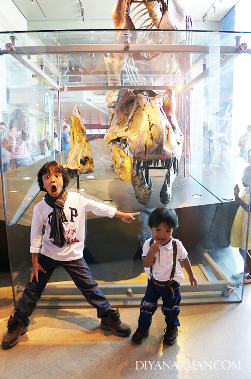 natural history museum los angeles t-rex